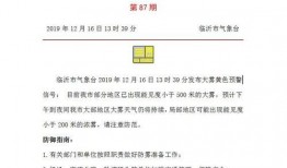 山东临沂爆料最新新闻,重大事件引发社会关注