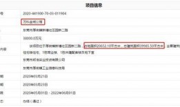 爆料最新项目是什么意思,最新爆料项目大揭秘！
