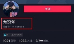 网红爆料教程图片高清视频,高清教程图片与视频制作全攻略