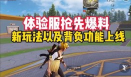 和平新音体验服最新爆料,全新玩法与角色大揭秘！