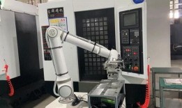 斯坦德机器人爆料视频,揭秘未来智能机器人技术革新