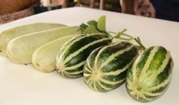 免费吃瓜网红,揭秘免费吃瓜网红的神秘魅力