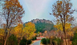 初冬爆料视频大全下载,捕捉冬日里的精彩瞬间