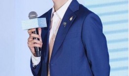 娱乐圈顶流爆料王一博,娱乐圈顶流背后的故事与魅力