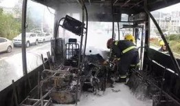 商洛加油站爆料事件视频,真相与争议交织