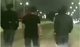 冷江大桥爆料视频播放大全,揭秘桥梁背后的故事与真相