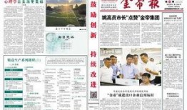 金帝股份最新爆料新闻报道,揭秘公司发展背后的故事