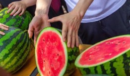 免费吃瓜招牌,揭秘娱乐圈幕后真相！