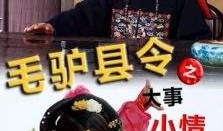 毛驴县令之大事小情在线观看,大事小情笑谈间，智慧治理显神通