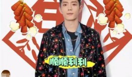 肖战妈妈爆料视频大全,揭秘明星家庭背后的温馨瞬间