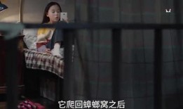 三公子被人爆料视频,揭秘娱乐圈不为人知的真相