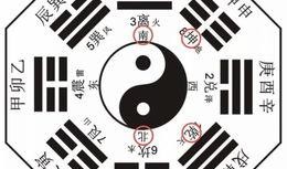 今日爆料娱乐八卦图最新,揭秘明星背后的惊人真相！