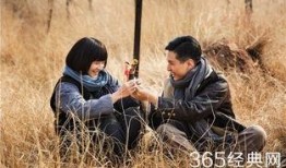 电视剧豆娘在线观看,穿越时空的温情之旅