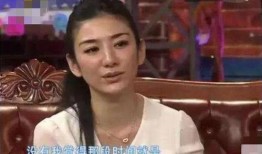 聂远爆料黄奕视频,真相与争议