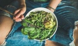 素食主义者 在线观看,在线观看之旅