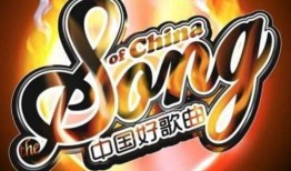 娱乐大爆料音乐推荐大全,音乐推荐大全，盘点年度热门曲目