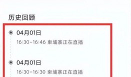 缅北网红直播爆料视频,揭秘缅北网红直播背后的真相