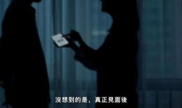 爆料大案少妇案件视频播放,少妇案件视频引发社会热议