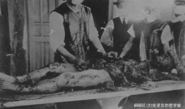 孕妇解剖在线观看,揭秘母体奥秘与胎儿发育过程