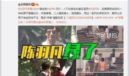 阜阳事件大爆料视频最新,真相与内幕深度剖析