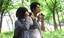 爱的森林在线观看,在线观看，探寻心灵深处的故事之旅