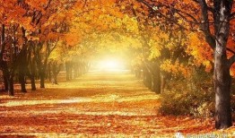 秋天妈妈最新爆料回放,揭秘明星家庭温馨瞬间