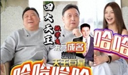 老友爆料全集视频,揭秘娱乐圈不为人知的秘密与真相