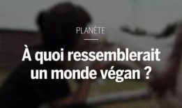 素食主义者 在线观看,在线观看之旅