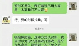 胖猫爆料视频在线观看,揭秘网络红人幕后生活