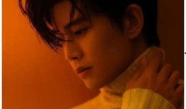 任嘉伦躺枪的爆料视频,揭秘爆料视频背后的真相