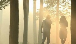 爱的森林在线观看,在线观看，探寻心灵深处的故事之旅