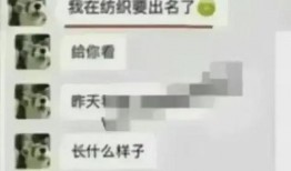 视频吃瓜爆料聊天记录,一场娱乐圈的幕后风云大揭秘