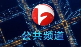安徽台直播在线观看,实时捕捉精彩瞬间，尽享视听盛宴