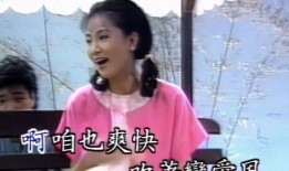 大姐爆料董哲哲视频播放,真相背后引人深思