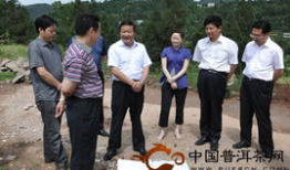 罗村爆料新闻最新,最新爆料揭示惊人真相