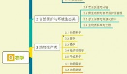 农村光棍爆料视频大全集,爆料视频大全集深度剖析