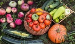 娱乐园吃瓜,揭秘明星幕后故事