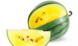 网红吃瓜qq图片大全大图,QQ图片大全大图揭秘