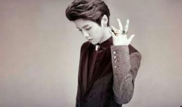 鹿晗之前爆料了吗视频下载,爆料视频背后的故事