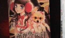 小白爆料狐狸视频在线观看,狐狸视频在线观看，带你领略神秘魅力