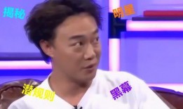 娱乐圈名人爆料大全,揭秘明星背后的秘密与真相