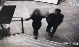 爆料大案少妇案件视频播放,少妇案件视频引发社会热议