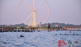 亲水爆料视频,揭秘视频背后的惊人真相