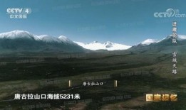 雪域领在线观看,在线揭秘神秘高原的壮丽画卷