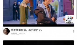 刘文迪视频爆料大全集最新,揭秘事件背后真相与内幕