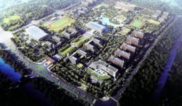 新角色木偶师爆料视频,新角色背后的神秘力量与独特魅力