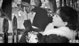 农村爆料大哥视频大全集,揭秘乡村生活百态