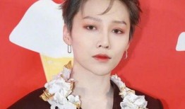 刘雨昕爆料最新动态,揭秘娱乐圈幕后真相！