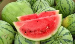 娱乐园吃瓜,揭秘明星幕后故事