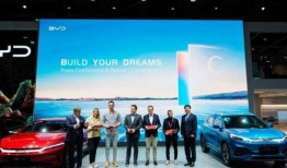 比亚迪高管爆料最新情况,新能源汽车产业变革与未来展望